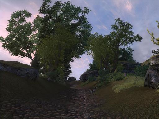 Elder Scrolls IV: Oblivion, The - Просто живописные скриншоты... (Добавлено описание!)