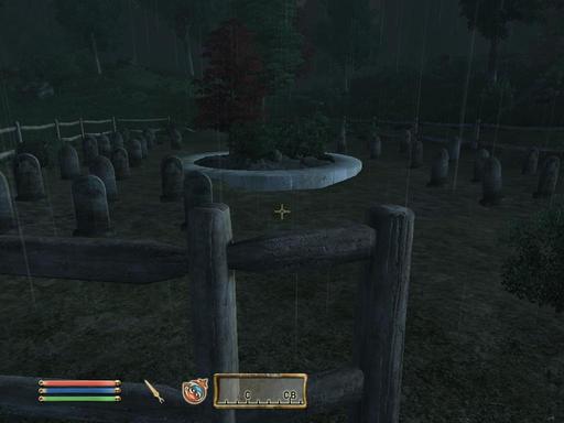 Elder Scrolls IV: Oblivion, The - Дневник имперского гастарбайтера. Том второй.