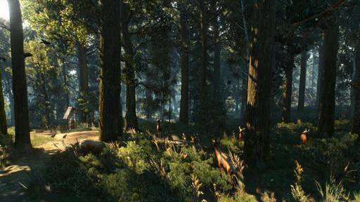 Новости - Графика The Witcher 3 стала менее реалистичной, зато более красочной и яркой